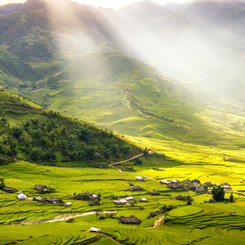 Reisterrassen Tu Le Mu Cang Chai Vietnam