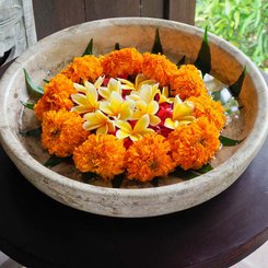 The Menjangan Bali 