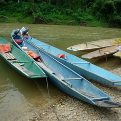 traditionelles Longboat Sarawak