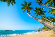 ein tropischer Strand ist bei einer Reise nach Sri Lanka nie weit entfernt 