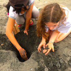 Schildkrötenschutzzentrum Westbali beim Ausflug vom Puri Dajuma