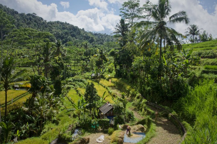 Indonesien Sidemen Bali