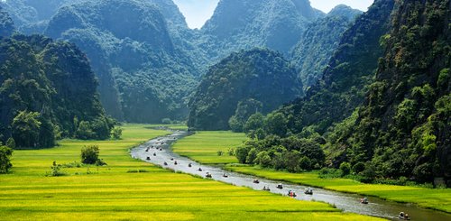 Reisfeld Ninh Binh in Vietnam Trockene Halongbucht