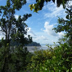 Bako Nationalpark Sarawak
