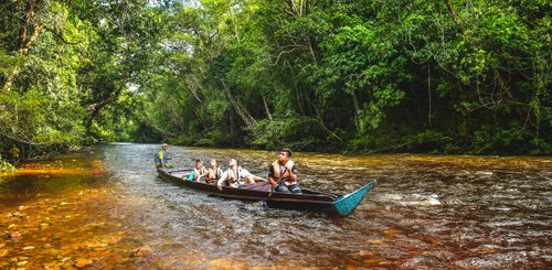 Taman Negara
