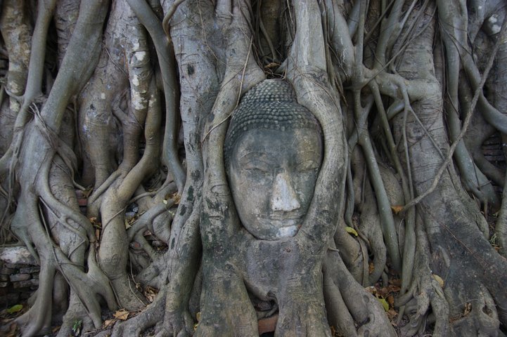 Ayutthaya Wat Mahathad