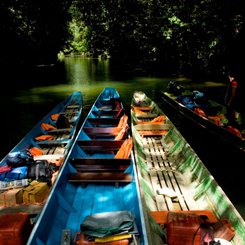 zu Fuß oder mit dem Boot kann man sich im Mulu Nationalpark fortbewegen