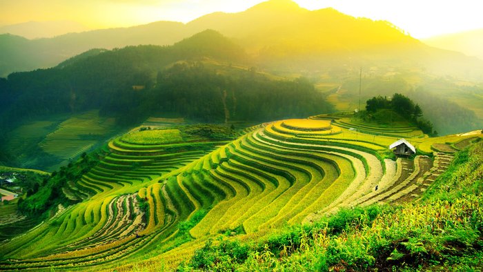 Reisterrassen Mu Cang Chai Yen Bai Vietnam