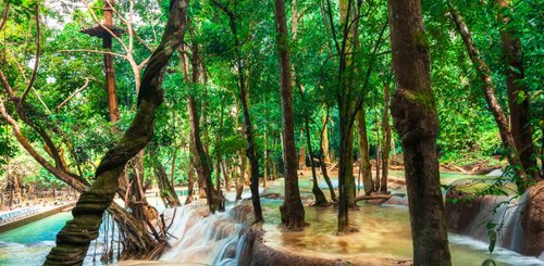 Kuang Si Wasserfälle Laos