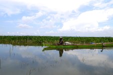 Lake Tempe Sulawesi schwimmende Felder