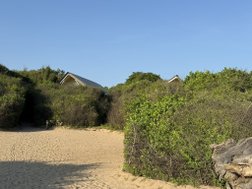 unser luxuriöser Beach Bungalow versteckt im Dschungel