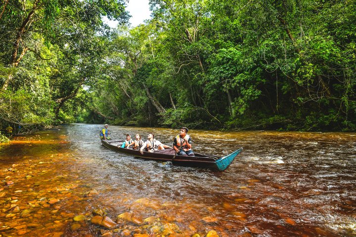 Taman Negara