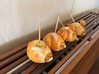King Coconut - leuchtend orange, ein wenig süßer als andere Kokosnüsse und mit mehr Milch, ganz typisch für Sri Lanka