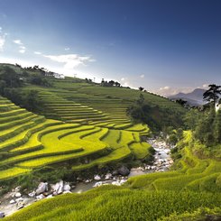 traumhafte Natur in der Region Suoi Giang