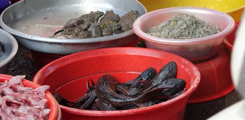 Angebot am Markt Mekongdelta Südvietnam