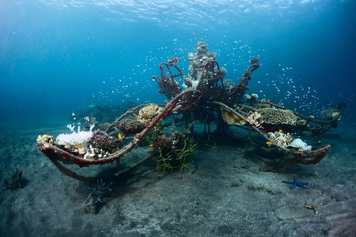 Biorock Project Bali © Mikhail Dudarev | Dreamstime.com