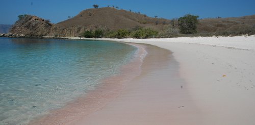 Pink Beach im Komodo Nationalpark