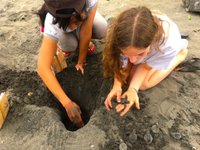 Schildkrötenschutzzentrum Westbali beim Ausflug vom Puri Dajuma