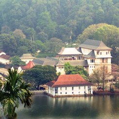 die Zeremonie am Zahntempel ist Ziel zahlreicher Pilger in Sri Lanka