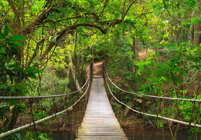 Khao Yai Nationalpark