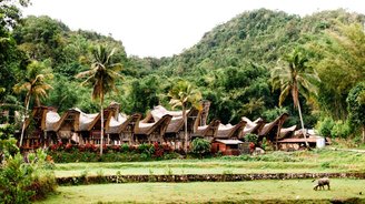 traditionelle Häuser Torajaland Sulawesi