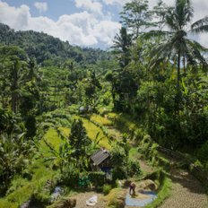 Indonesien Sidemen Bali