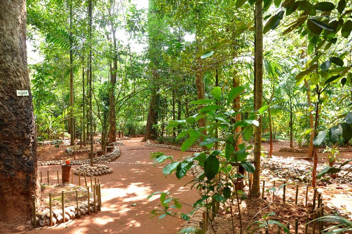 Gewürzgarten Matale