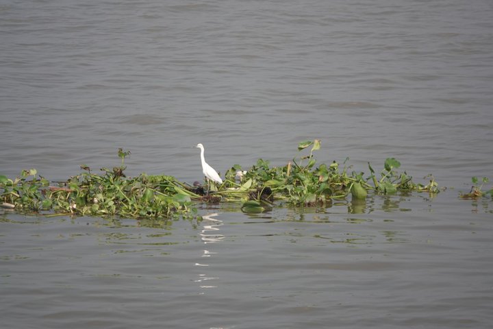 Kreuzfahrt durch das Mekongdelta