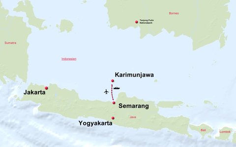 Java Kura Kura im Karimunjawa Archipel