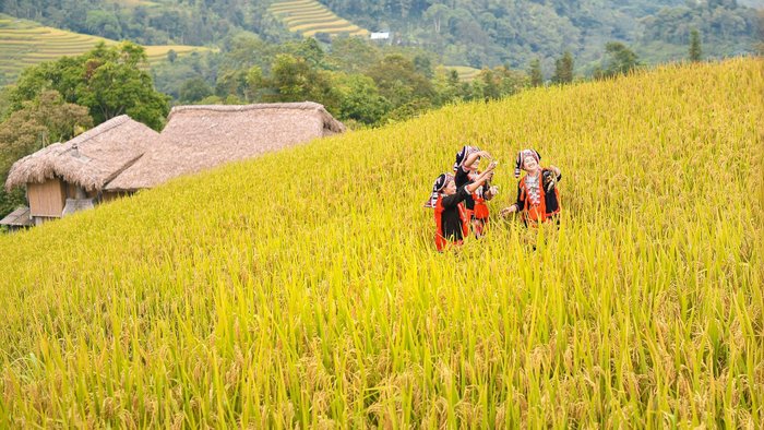 Nordvietnam wunderbare Naturlandschaft und ethnische Minderheiten