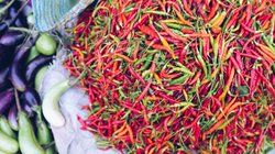 Markt in Luang Prabang