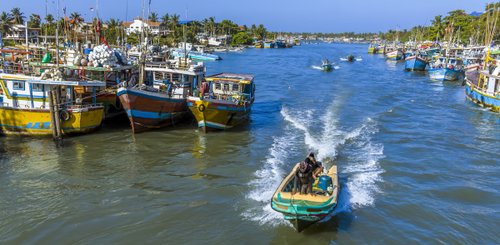 Fischerboote Negombo