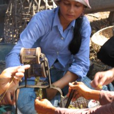Seidenproduktion auf Silk Island bei Phnom Penh