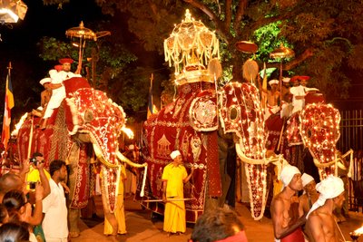Abendlicher Umzug am Perahera Fest in Kandy 