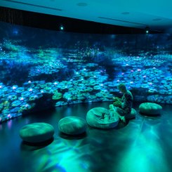 Gardens by the Bay - Impressions of Monet