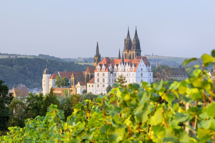 Ausblick auf Albrechtsburg in Meissen mit Weingärten im Vordergrund