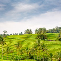 Bali Reisfelder Jatiwiluh @ Ttinu | Dreamstime.com