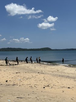 mit vereinten Kräften wird das Netz auf Sri Lanka aus dem Wasser gezogen