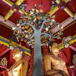 Buddhastatuen im Wat Pong Sanook Lampang