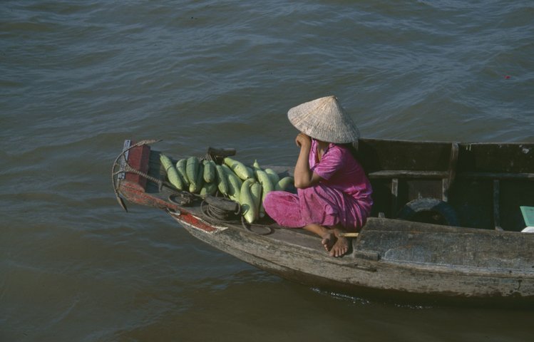 Mekongdelta