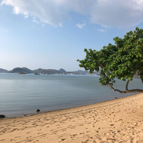 Ausblick vom Hotel auf die Boote im Hafen von Labuan Bajo auf Flores
