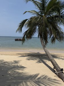 feinster Sandstrand und romantische Palmen vor dem Sun Siyam Pasikudah