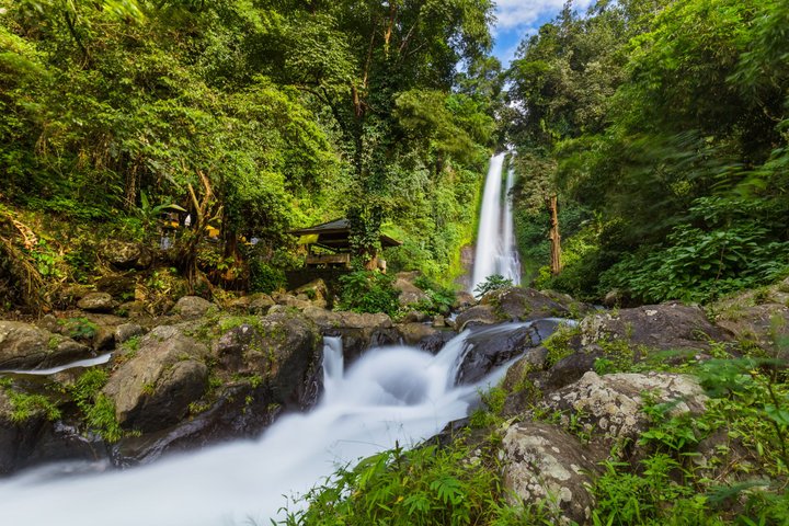 Gitgit Wasserfall Bali inmitten tropischer grüner Natur