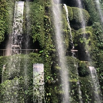 Wasserfälle und Nebelwald in den Glashäusern Gardens by the Bay