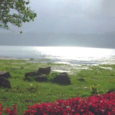 Bali Lake Buyan