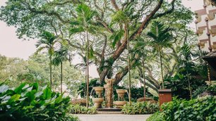 Penang Shangri La Rasa Sayang tropischer Garten