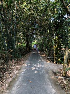 Mekongdelta Fahrradausflug