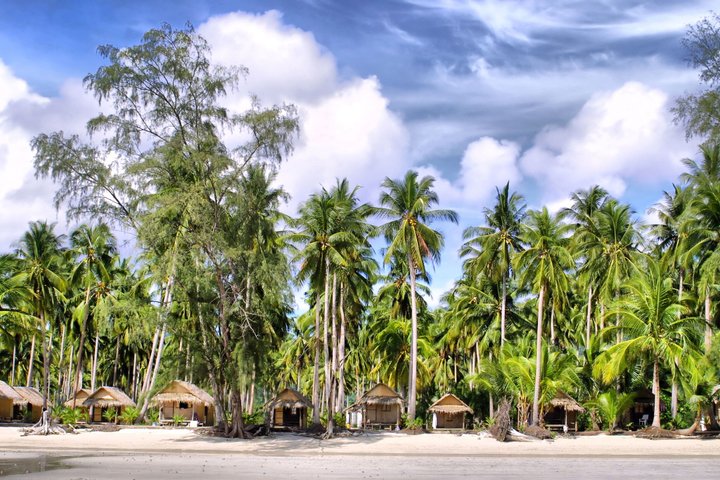 Kokosnusspalmen am Strand von Koh Chang