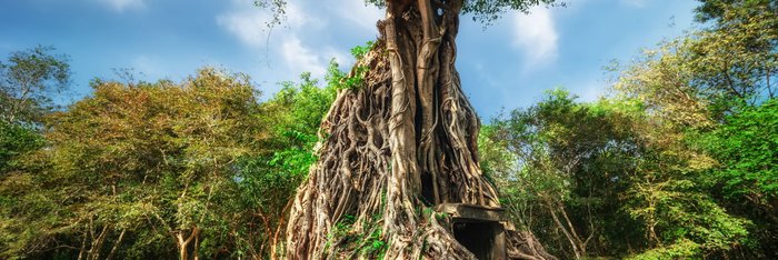 Sambor Prei Kuk Kampong Thom Kambodscha Indochina Asien