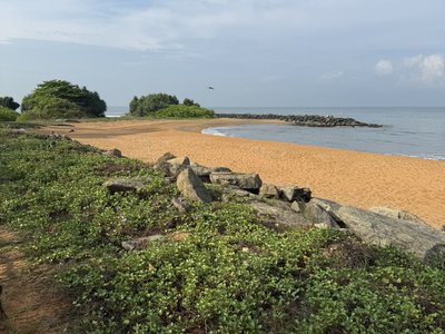 Negombo Beach - Strand vor dem Dolphin Resort
